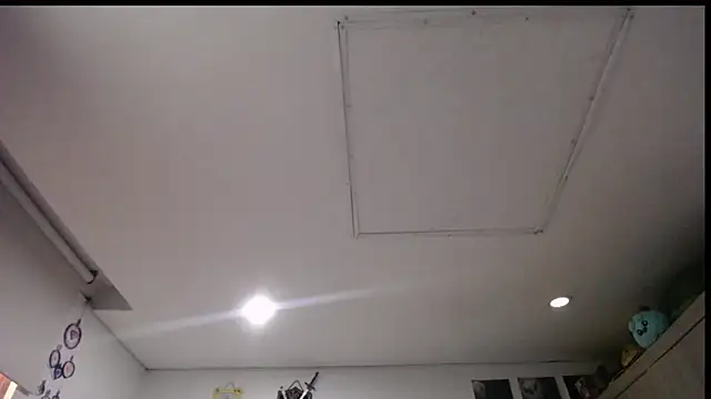 Santiago_kiler webcam