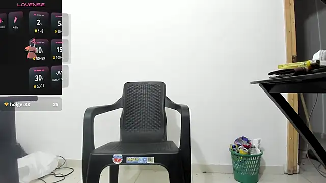 isearchcompany webcam