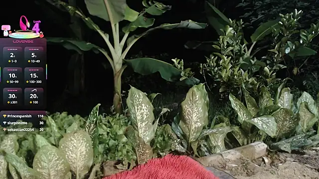 andreu_mature webcam