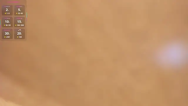 rouse__hallberg webcam