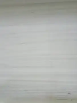 Cata_city1106 webcam