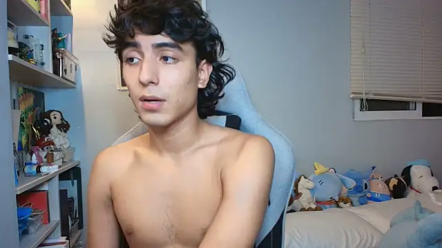 salvatore_montt webcam