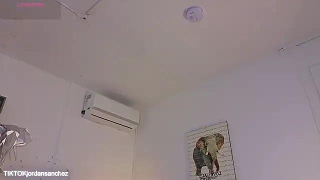 JordanSmiith_ webcam