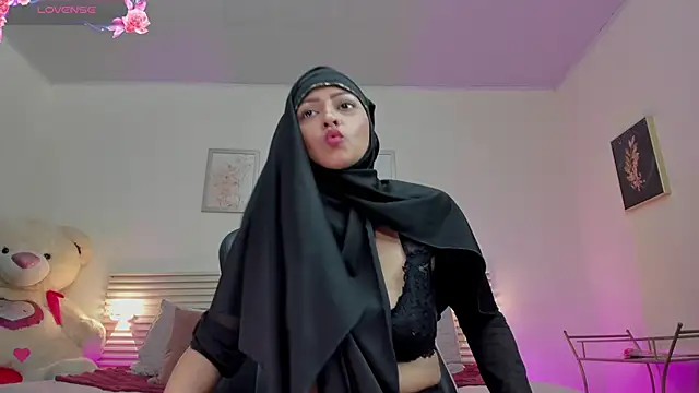 New_Arab_Kingdom webcam