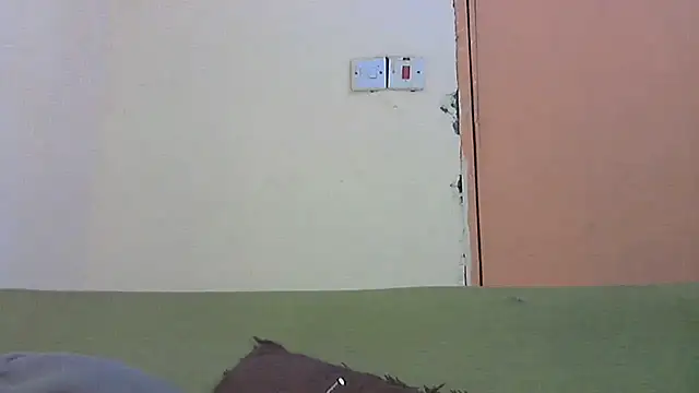 69_SINNS webcam