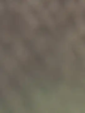 La-Gatiita-trans webcam