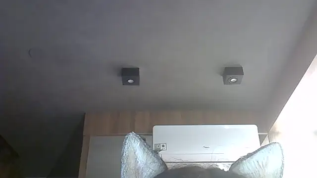 SkinnyKitten webcam