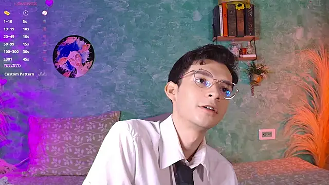 VicenteFerrer webcam