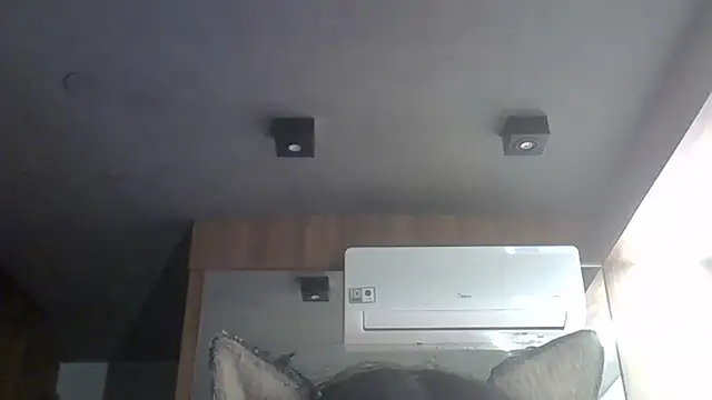 SkinnyKitten webcam