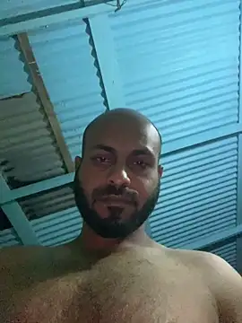 islandvybee55 webcam