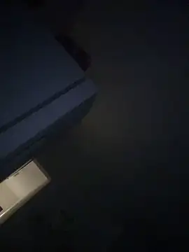 vivisapequinha webcam