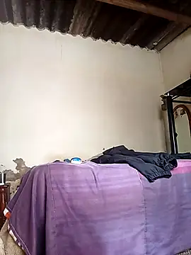 average_price's live cam