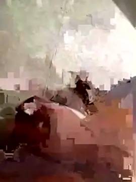 ParlousCarpet webcam