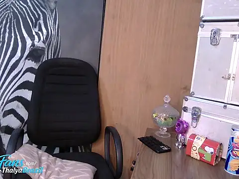 ThalyaHotTrans webcam