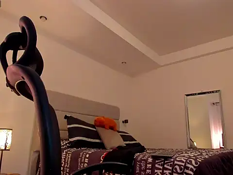 CHIRS_MORGANS webcam