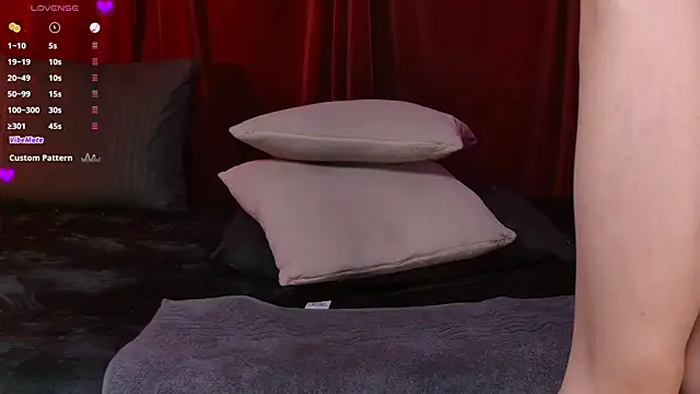 VicenteFerrer webcam