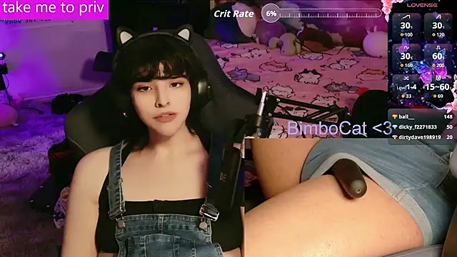 BimboCat webcam