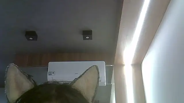 SkinnyKitten webcam