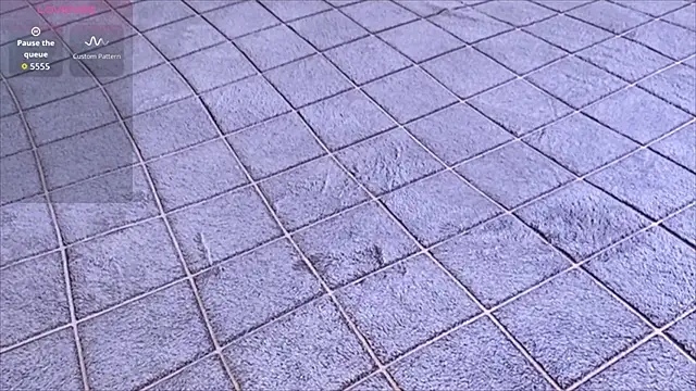 viviann_evans webcam