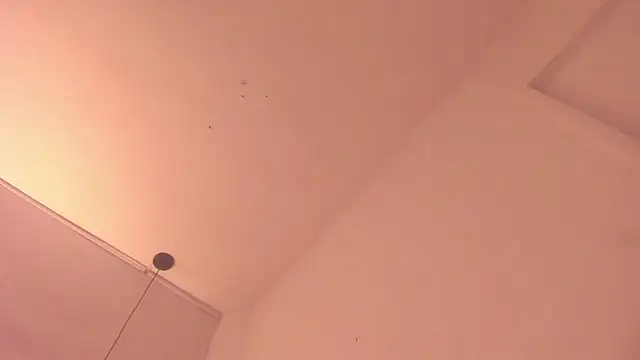 penelope_handaos webcam