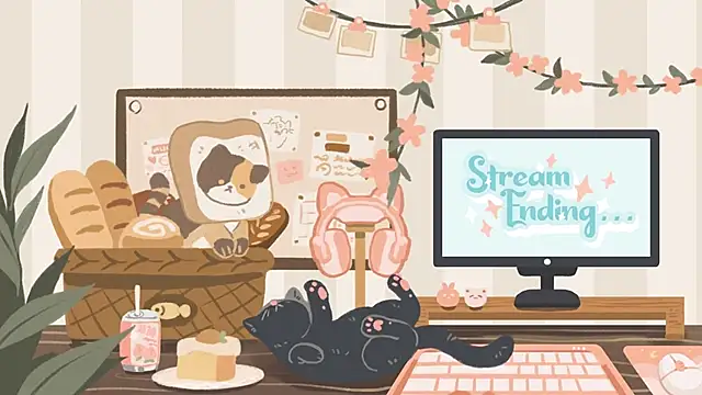 geekycastillo webcam