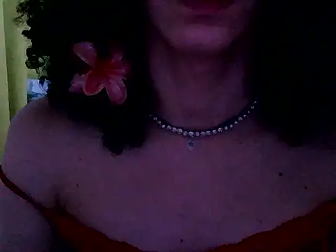 janjinha_trans webcam