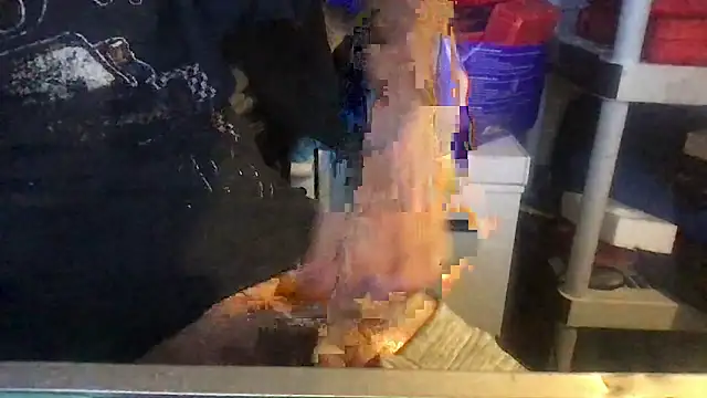 SinlessFreedom7 webcam