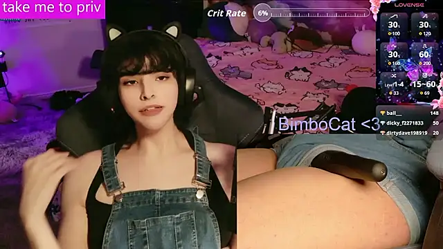 BimboCat webcam