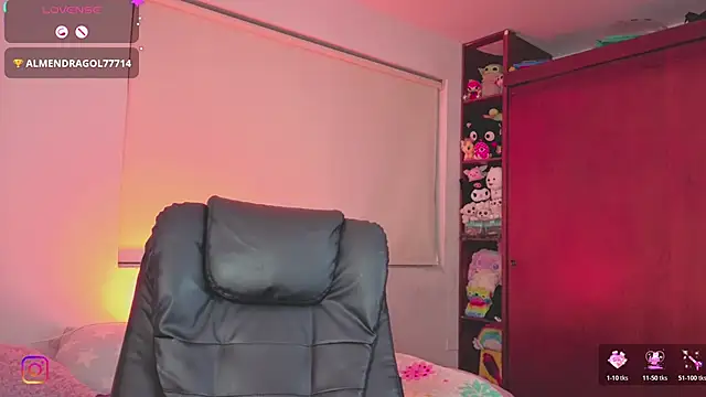 Laurent-Glass webcam