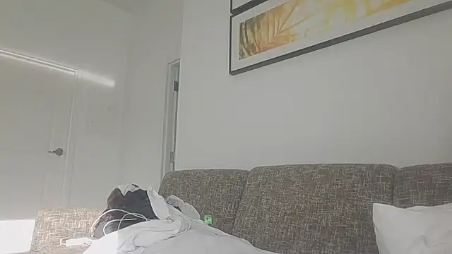 Yankeedave420 webcam