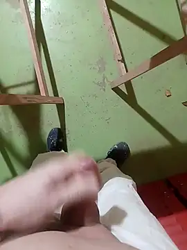 GeilerSchweizer webcam