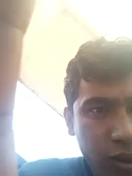 amanWildstalion webcam