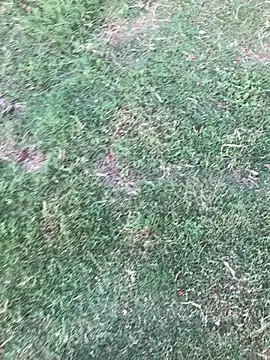 Ndodemnyama@xh webcam