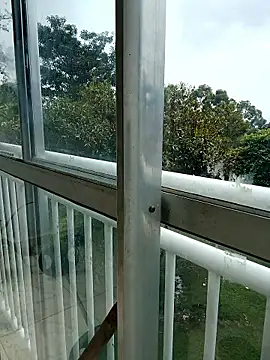 LEIRIS_Y_FRED_01 webcam