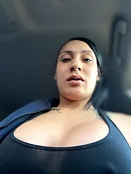 FerrariFrench webcam