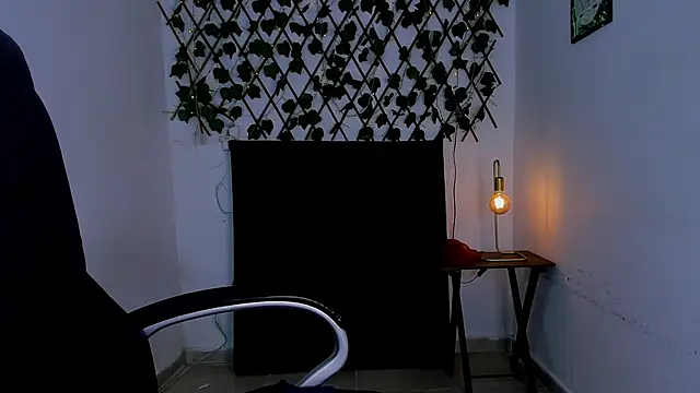 Preview of tiven-prince