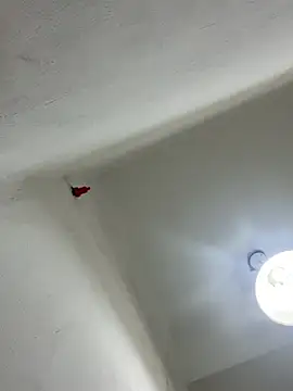 HellenaTinoco webcam