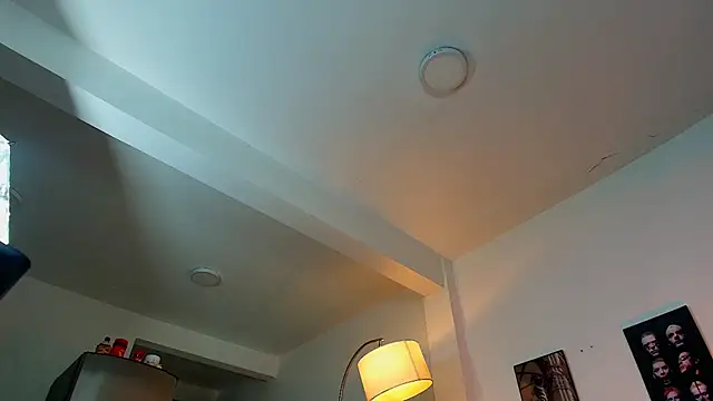 Preview of baxter_dex