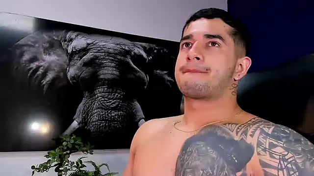 king_falconer webcam