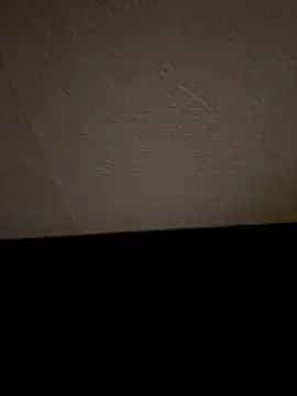 guitccch (Ask my age) - #balds #cam2cam #cheap-privates #daddies #ebony #french #handjob #hd #mobile #muscular #orgasm #small-audience #straight