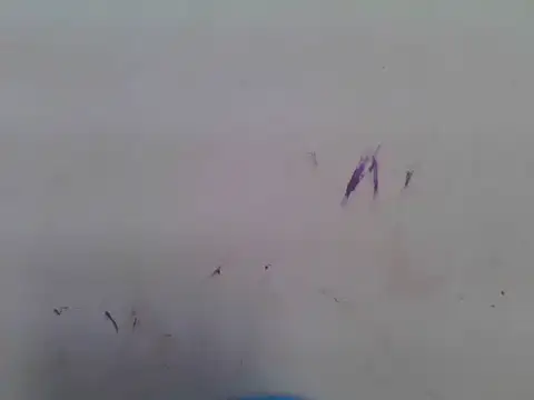 sweet_bella16 webcam