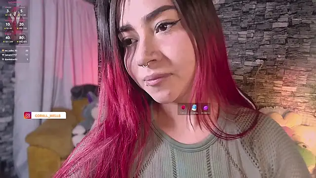 corallwells webcam