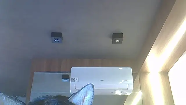 SkinnyKitten webcam