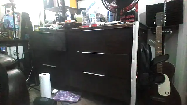 Antoniothedon webcam