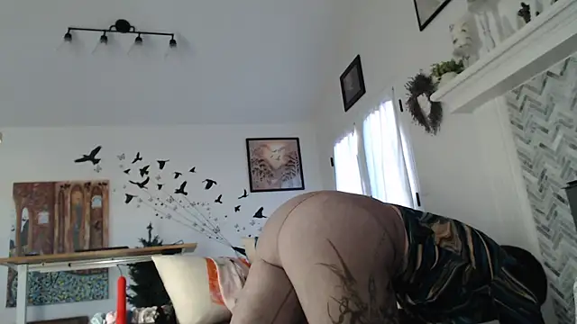 AuroraWillows webcam