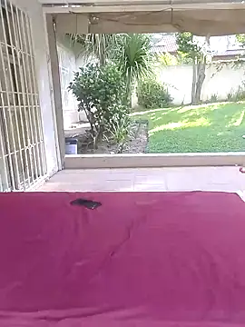 SexyAssQueenX webcam