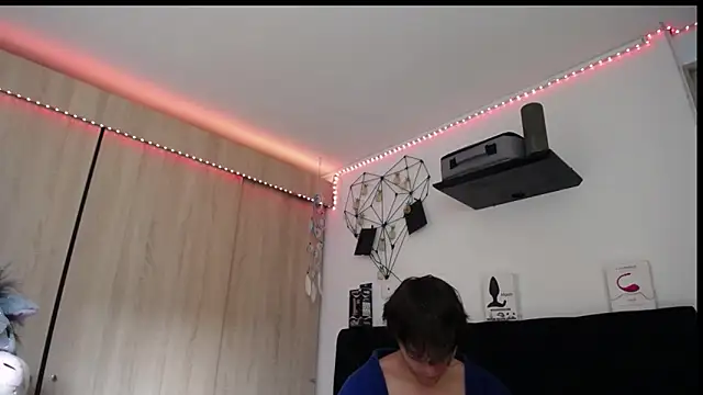 Santiago_kiler webcam