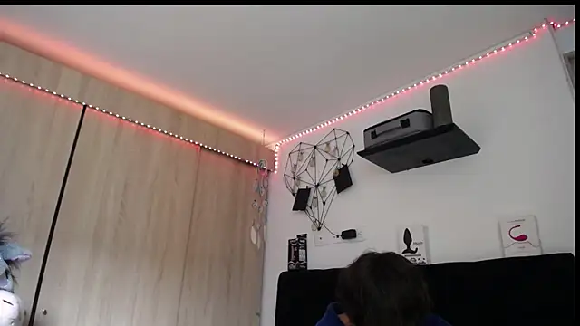 Santiago_kiler webcam