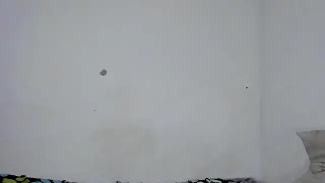 cirosky_elchicopolla webcam