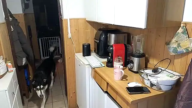 vanessadoyle (F young) - 5 video hot + tette all'aria